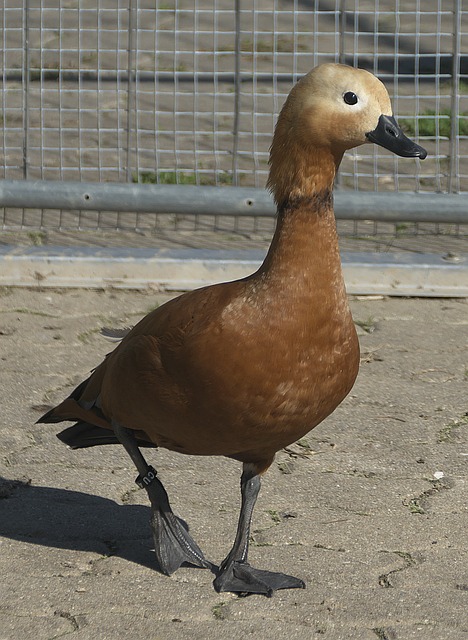 起来