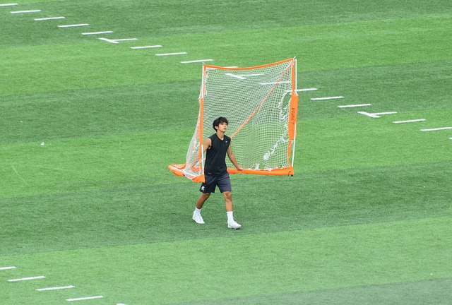 年引入的另