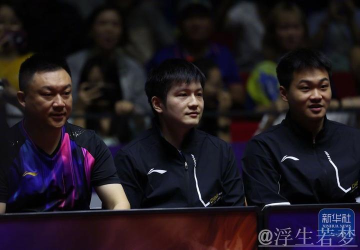 樊振东独揽两分助上海地产险胜山东鲁能3-2 樊振东独揽两分助上海地产险胜山东鲁能3-2