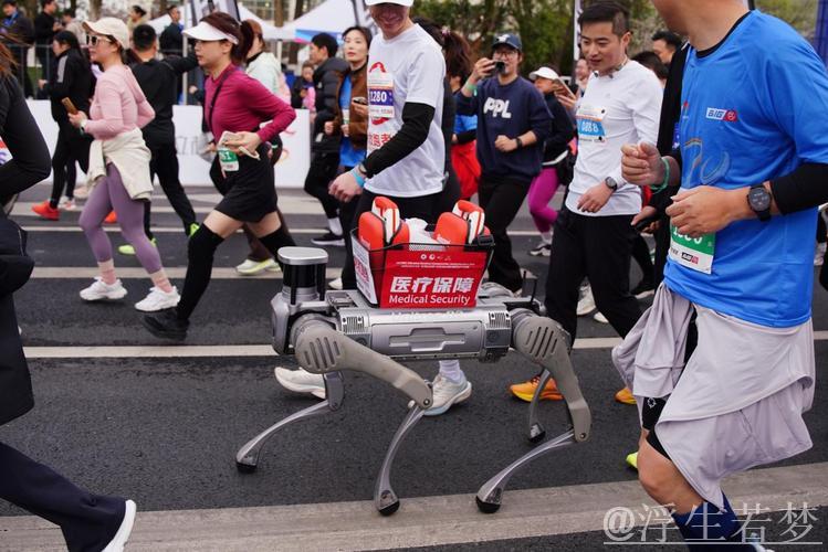 2025嘉兴马拉松鸣枪起跑暨第20届亚洲马拉松锦标赛开启